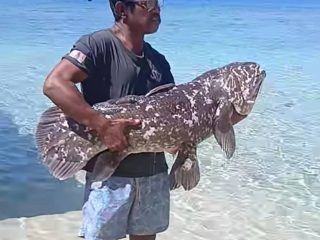 Heboh! 18 Ikan purba berusia 400 juta tahun muncul di Sulut, Pulau Talise diusulkan jadi warisan dunia UNESCO