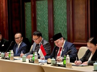 Airlangga dorong investasi China untuk proyek PLTS 100 GW di Indonesia