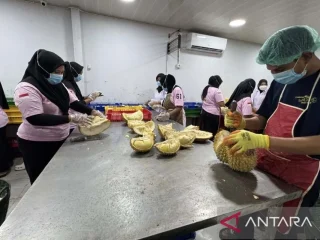 Geger! China mendadak ketagihan 'durian raja' asal Sulteng, nilai ekspor capai ratusan miliar