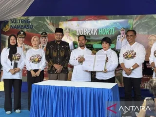 Penyakit bangkalan ancam durian Sulteng, Pemprov gandeng akademisi cari penangkalnya
