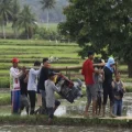 pompa air sawah