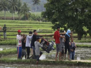 pompa air sawah