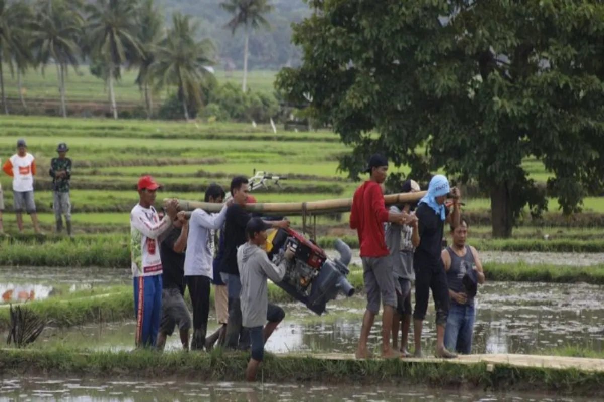 pompa air sawah