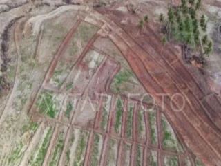 lahan cetak sawah baru
