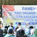 Riset Pertanian Sulawesi Tengah