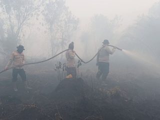 Modus! Pembakaran hutan demi pangkas biaya operasional buka lahan: Dari 89 laporan polisi, 72 jadi tersangka Karhutla