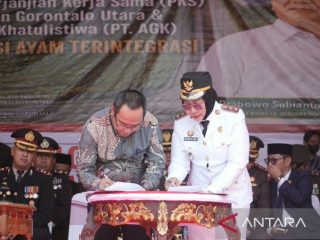 Kado spesial kemerdekaan! Pemkab Gorontalo Utara buka ribuan lapangan kerja baru untuk rakyat!