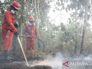 Karhutla: Kuat indikasi tindak pidana, Kemenhut juga temukan kejahatan kehutanan lain dengan tersangka korporasi