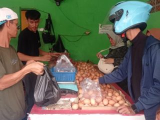 Pasokan melimpah, harga telur ayam di Lebak makin murah