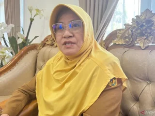 peternak sapi