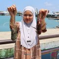 Pengepul lobster Boalemo