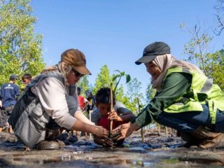 380 Pohon mangrove ditanam di Soligi, warga bangun “benteng hijau” hadapi ancaman abrasi