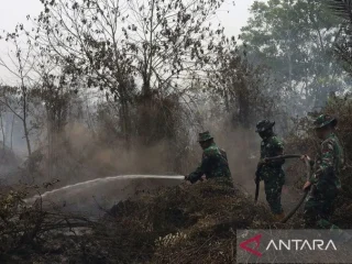 Malaysia dan Singapura jangan sembarangan memperdebatkan Karhutla Kalimantan, BNPB: Pendekatannya bukan saling menyalahkan, asap tidak mengenal batas negara