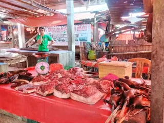 Sulut miliki 6 dari 10 kabupaten/kota yang alami penurunan IPH tertinggi: Daerah mana saja?
