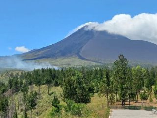 Januari - Agustus, 1.500 hektare hutan dan lahan di Sulut terbakar
