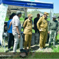 cetak sawah