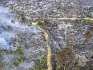 Polri amankan sejumlah pelaku kebakaran hutan dan lahan di Kalimantan Tengah