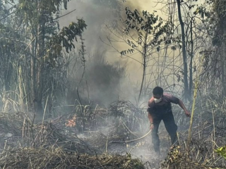 Ancaman kebakaran lahan mengintai Papua Tengah, BMKG imbau warga tidak buang rokok sembarangan