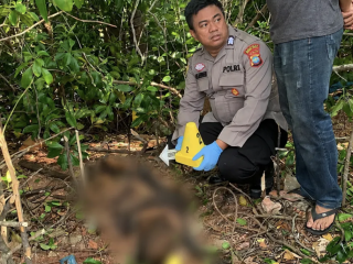 Gegerkan warga Tanjungpinang, pasangan suami istri temukan jasad mengering di pesisir