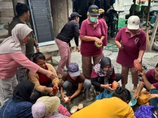 Dari kebun ke produk premium, Untad bantu petani Parigi Moutong sulap kakao jadi cokelat bernilai tinggi
