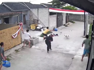 Anjing 'pitbull' serang anak sembilan tahun di Bandung