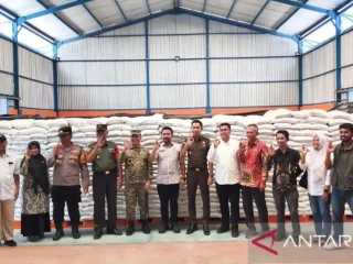 Bulog Toli-toli gelontorkan 867,9 ton beras, hampir 29 ribu keluarga jadi sasaran