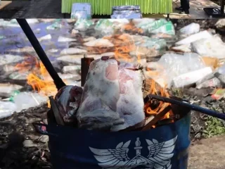 Barantin musnahkan 3,4 ton daging tanpa dokumen