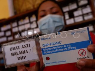 Cegah penularan di IKN, Kaltim targetkan bebas Malaria sebelum 2030