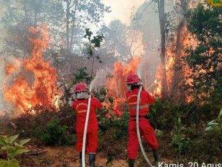 Pantauan satelit: Tercatat 1.842 titik panas kepung Kalimantan, Kalteng sumbang terbanyak