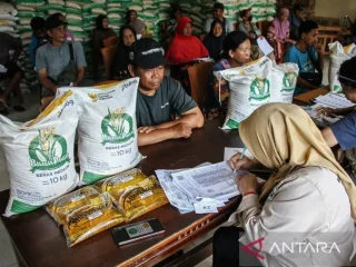 Bantuan beras Palu