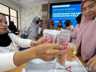Petani Palu didorong tak lagi jual cabai dan bawang merah, ini langkah Pemkot