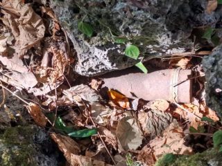 UXO Blok Masela