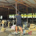 Polisi amankan emas ilegal