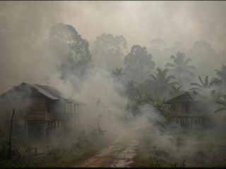 Darurat kabut asap di Barito Selatan, kasus ISPA tembus ribuan jiwa