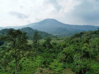 Oase di tengah kepungan asap: Saat Menhut berkaca pada lanskap Bujang Raba di Jambi untuk selamatkan hutan Kalteng