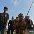 Panen bawang merah Palu