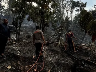 Pemadaman karhutla Buol