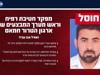 Target Israel lenyapkan semua komandan Hamas yang tersisa