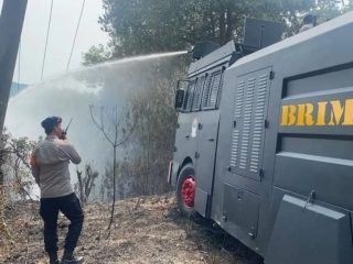 Cegah api meluas di Pulau Rempang, Polda Kepri terjunkan tim padamkan kebakaran lahan