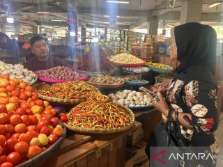 Harga cabai rawit di Gorontalo meledak Rp200 ribu, kemarau bikin stok lokal menipis