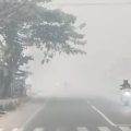 Darurat karhutla di Buntok: Asap pekat lumpuhkan transportasi dan ancam kesehatan warga Kalteng