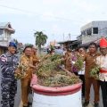 Panen kacang tanah Melonguane