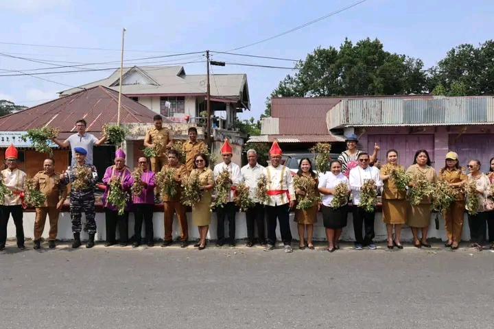 Panen kacang tanah Melonguane