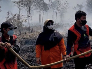 Tindak tegas kebun sawit nakal di Kotim, Wabup Irawati gandeng Polres dan Kodim