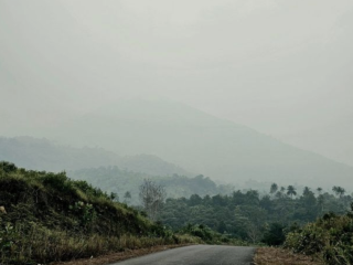 Udara Kepri Memburuk! Dinkes Minta Warga Pakai Masker dan Waspadai Sesak Napas