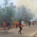 Karhutla Poso mengganas, 15 hektare lahan dan dua rumah warga hangus