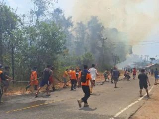 Karhutla Poso mengganas, 15 hektare lahan dan dua rumah warga hangus