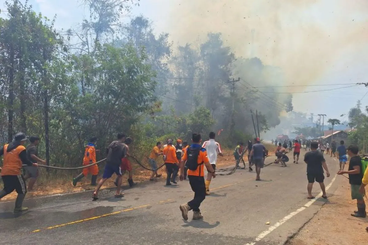 Karhutla di Poso