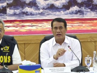 Penindakan impor beras illegal, Mentan: Demi lindungi petani