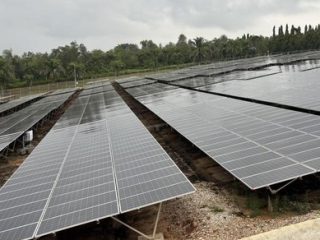 APBN akan terdampak jika tak menggunakan EBT